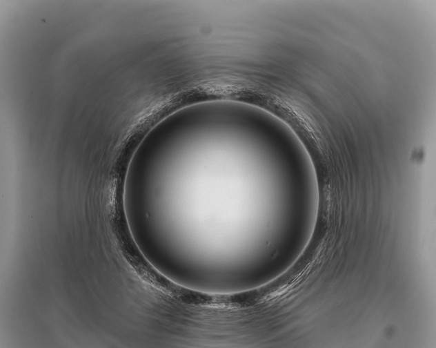 X0000096190404200801251245