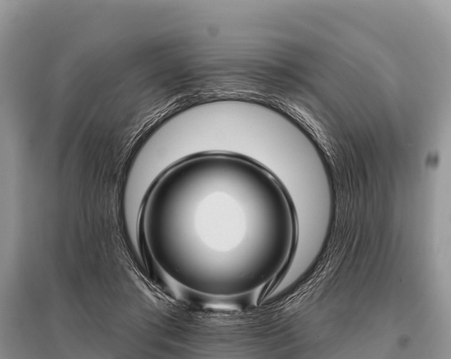 X0000096190405200801251245