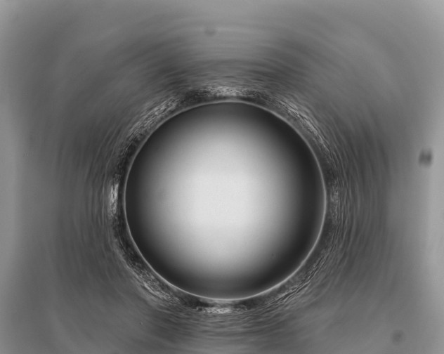X0000096190406200801251245