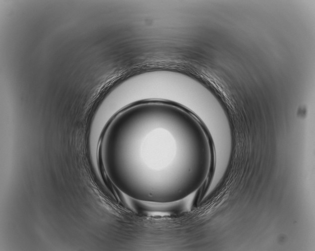 X0000096190407200801251245