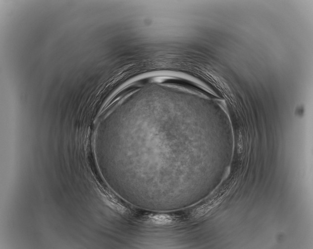 X0000096190409200801251245