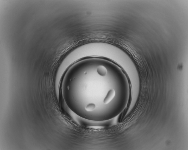 X0000096190411200801251245