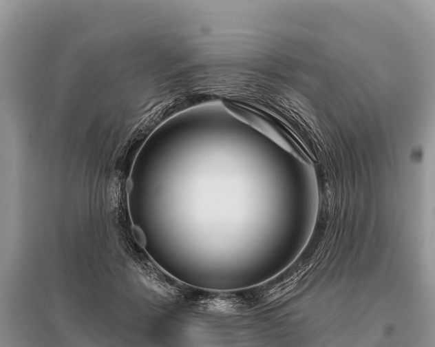 X0000096190412200801251245