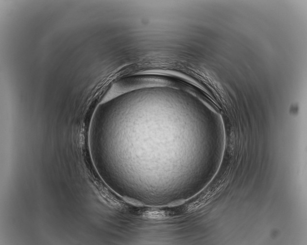 X0000096190413200801251245
