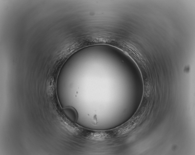 X0000096190414200801251245