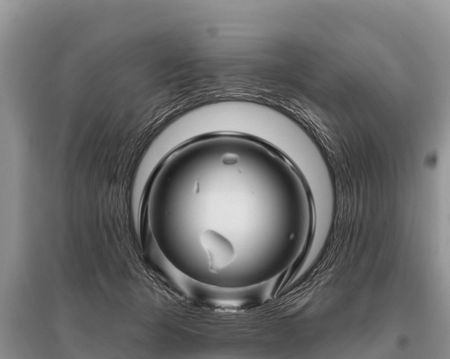 X0000096190415200801251245