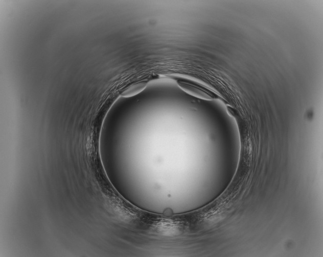 X0000096190416200801251245