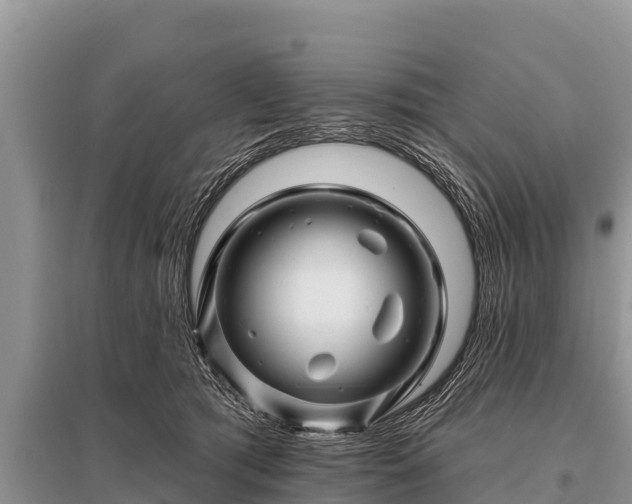 X0000096190417200801251245