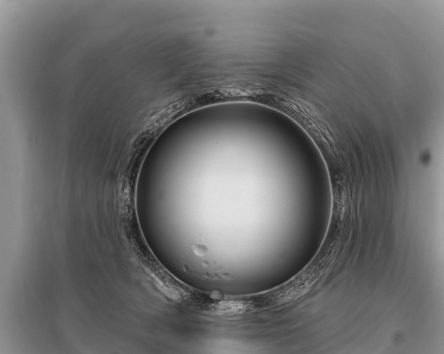 X0000096190418200801251245