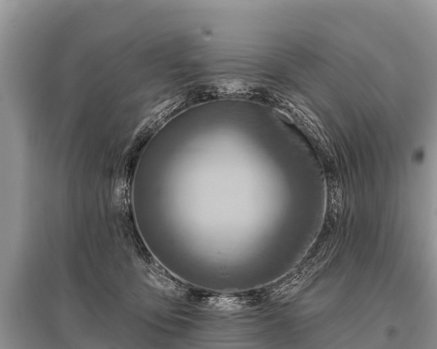 X0000096190419200801251245