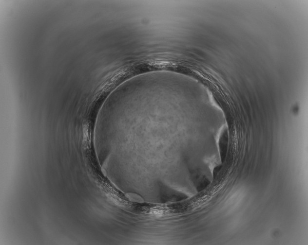 X0000096190420200801251245