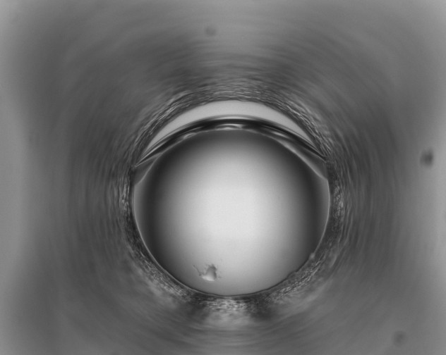 X0000096190421200801251245