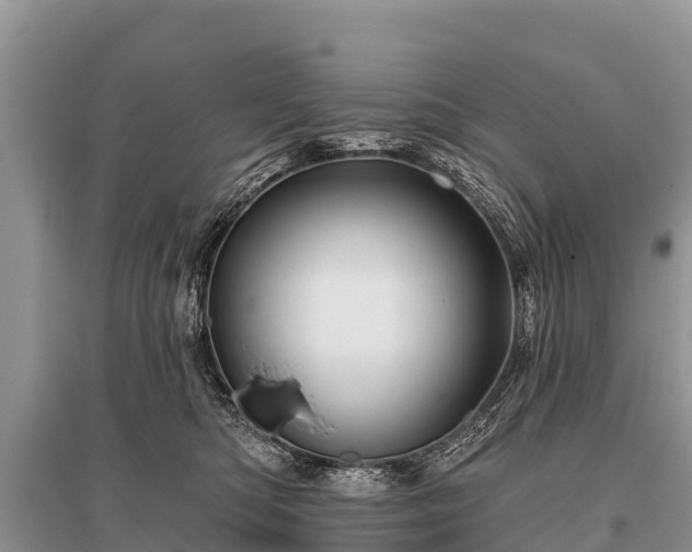 X0000096190422200801251245