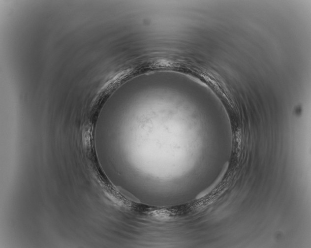 X0000096190423200801251245