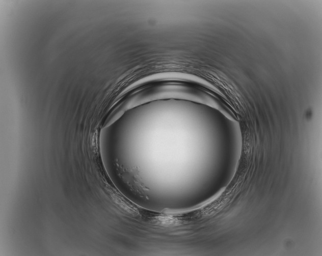 X0000096190425200801251245