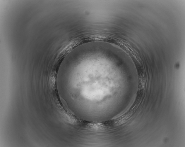 X0000096190427200801251245
