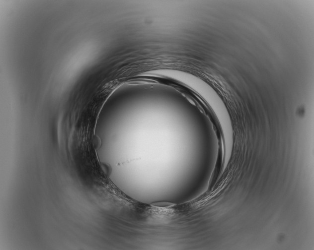 X0000096190429200801251245