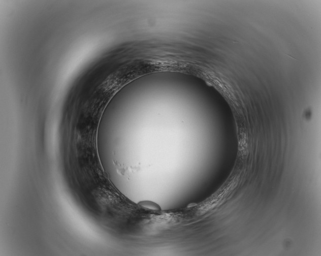 X0000096190430200801251245