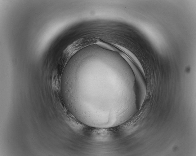 X0000096190431200801251244