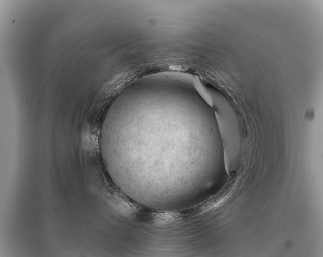X0000096190432200801251244