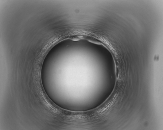 X0000096190433200801251244