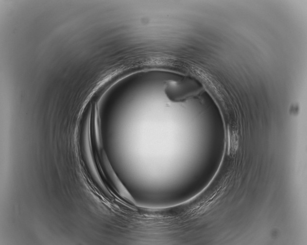 X0000096190435200801251244