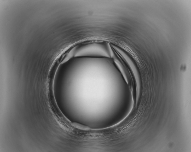 X0000096190436200801251244