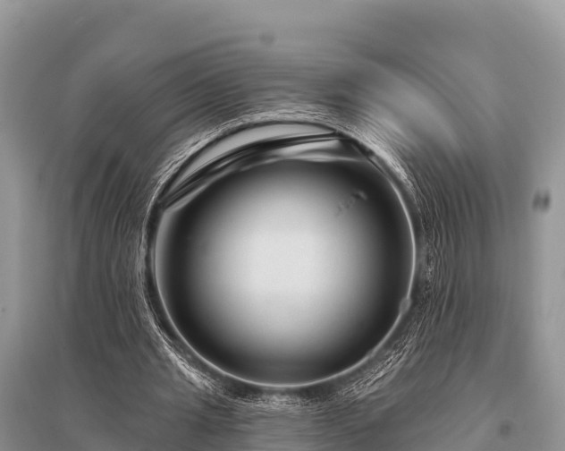 X0000096190437200801251244