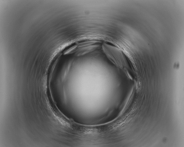 X0000096190438200801251244