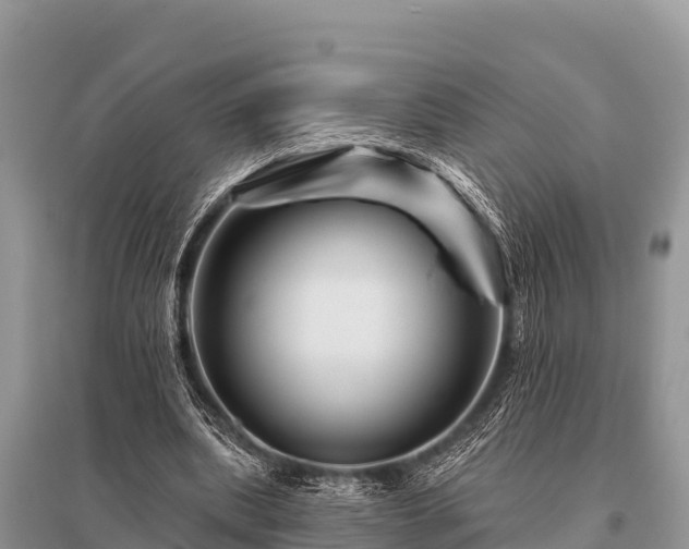 X0000096190439200801251244