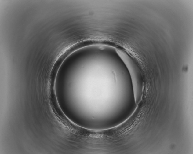 X0000096190440200801251244