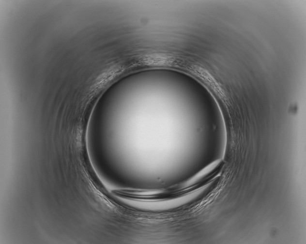 X0000096190441200801251244