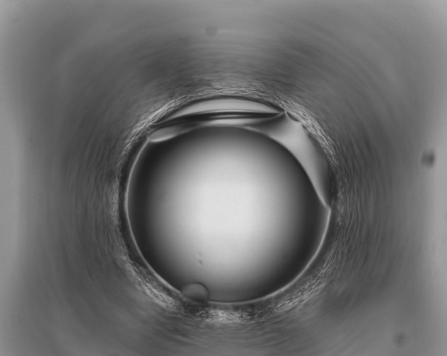 X0000096190442200801251244
