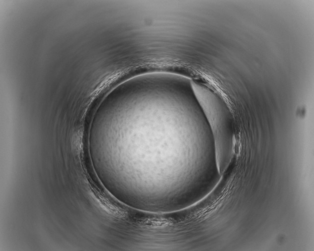 X0000096190443200801251244
