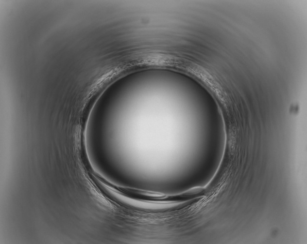 X0000096190445200801251244