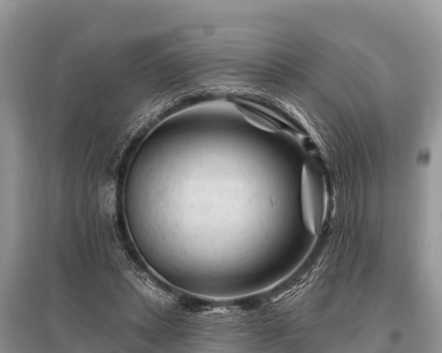 X0000096190447200801251244