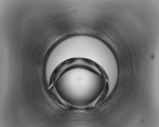 X0000096190448200801251244