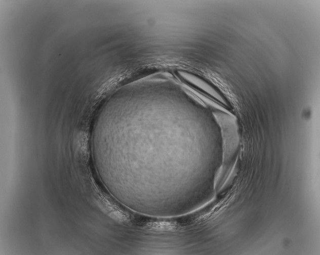 X0000096190449200801251244