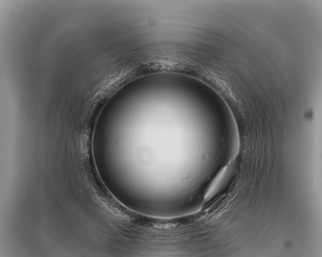 X0000096190450200801251244