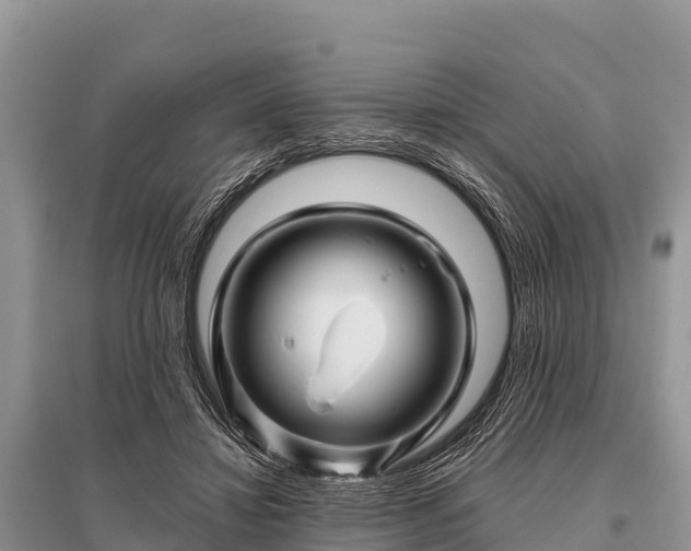 X0000096190452200801251244