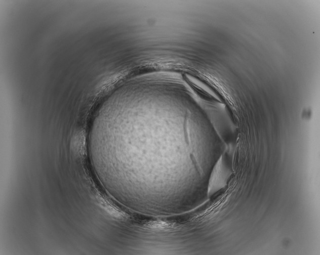 X0000096190453200801251244