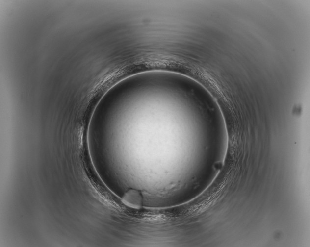X0000096190454200801251244