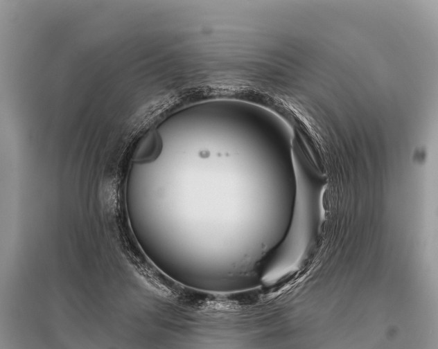 X0000096190455200801251244