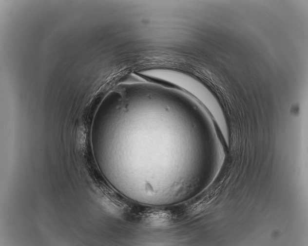X0000096190456200801251244
