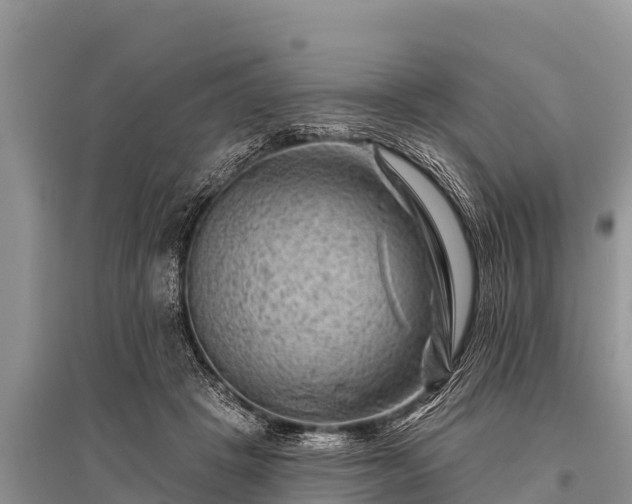 X0000096190457200801251244
