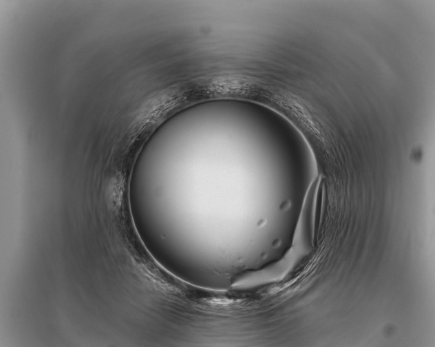 X0000096190458200801251244