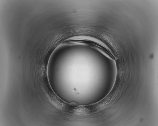 X0000096190459200801251244