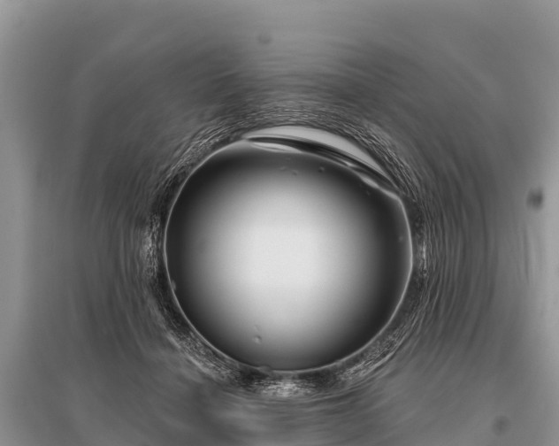X0000096190460200801251244