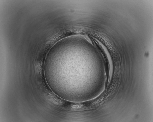 X0000096190461200801251244