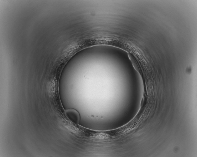 X0000096190463200801251244